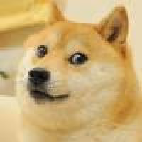 Untitled Collection #37248742