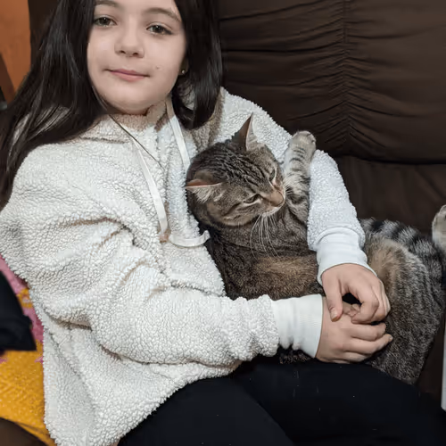 Untitled Collection #27499920