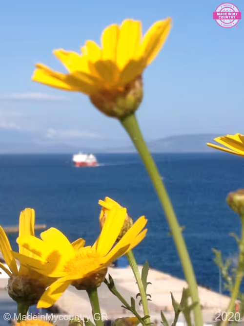 Item #21218919643484846679386017214105436286474954155539936946797714489822779802100 Media