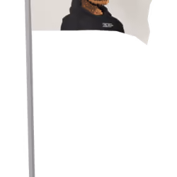 97949793148712048157970195465957256167452964683579190898846545985274720026625