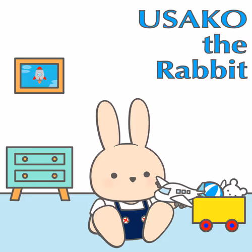 USAKO POSTCARD