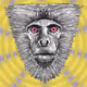 Planet Monkey #19