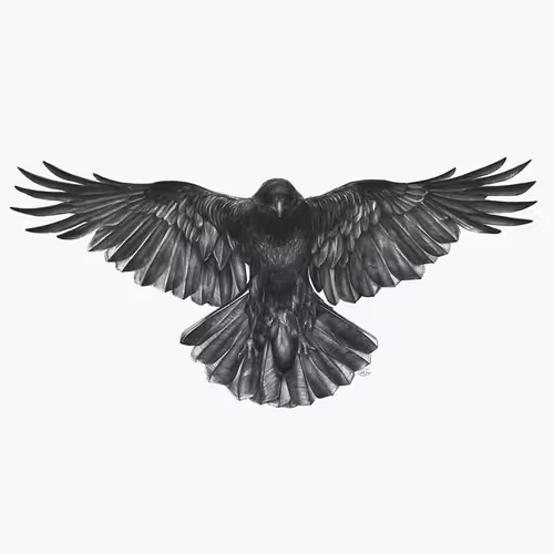 Untitled Collection #240870636