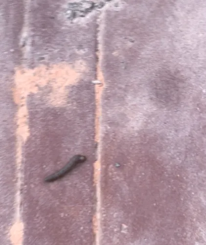 Untitled Collection #468425150