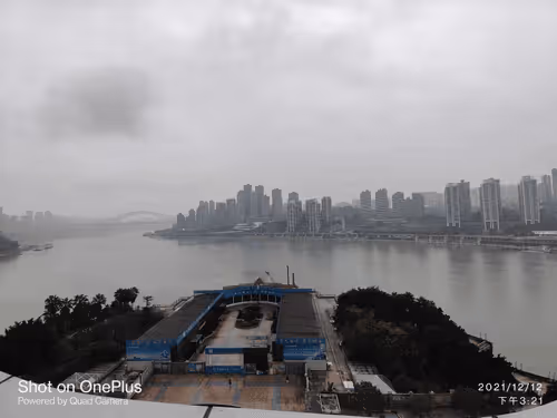 Untitled Collection #181142543