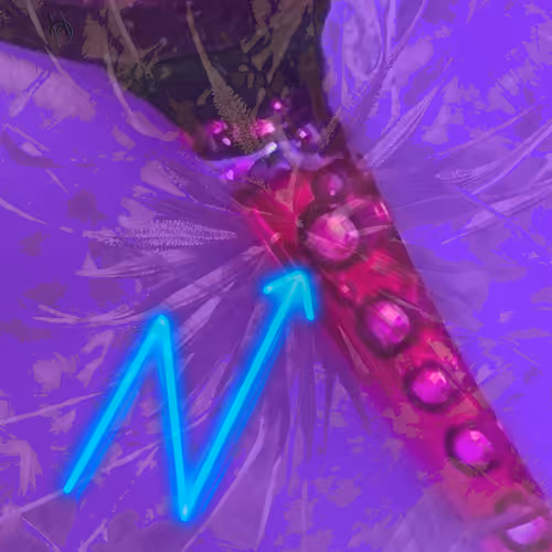 52460644133965780024945378604330266900519030165455998031126460656220884697188