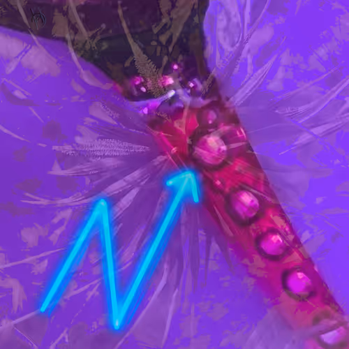 Item #52460644133965780024945378604330266900519030165455998031126460656220884697188 Media