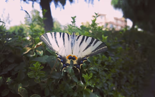 Untitled Collection #275153937