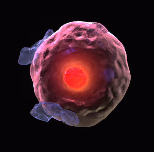 Item #15900858524274065462397165605509062893973264951757804275935713258750892572673 Media