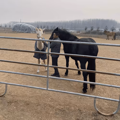 Untitled Collection #48449148