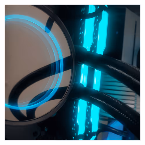 Untitled Collection #82536150