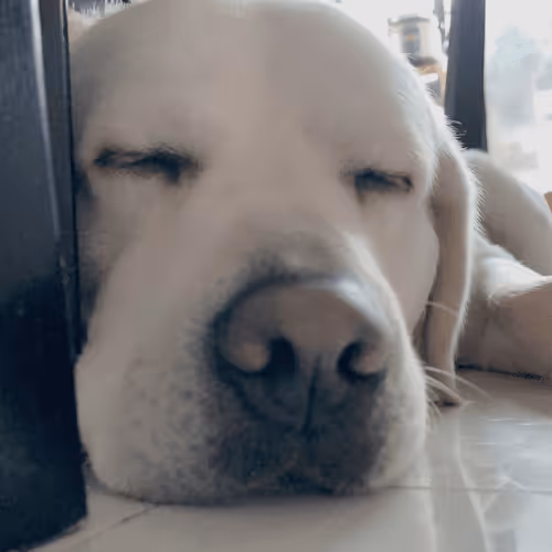 Untitled Collection #80069146