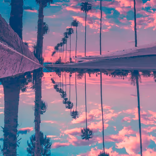 Untitled Collection #190412304