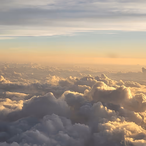 Untitled Collection #291206314