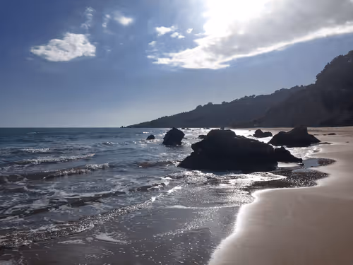 Item #114509295466493270274000987260466432265611896407660067943003400978365654499329 Media