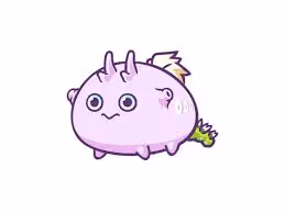 Untitled Collection #199463377