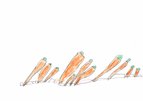 Untitled Collection #206144824