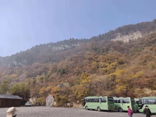 Untitled Collection #61892880