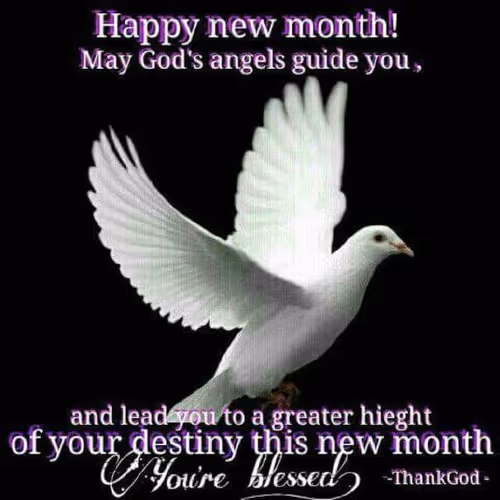 Untitled Collection #124737831