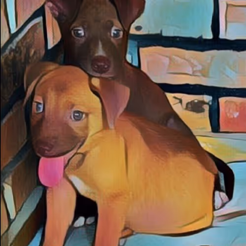 Untitled Collection #279640776