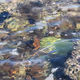 Mother Nature photo NFT collection by apipcy