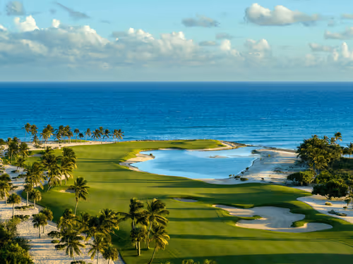 Untitled Collection #149921521