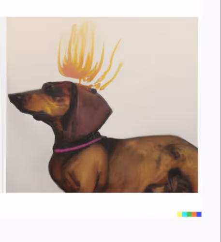 Untitled Collection #120816347