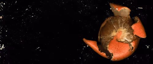 Untitled Collection #23688629