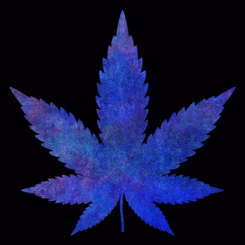 Item #27429404742285856424020713709496491268388893896169540775489702290347024973834 Media