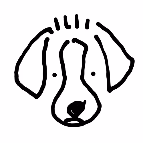 Untitled Collection #441512887