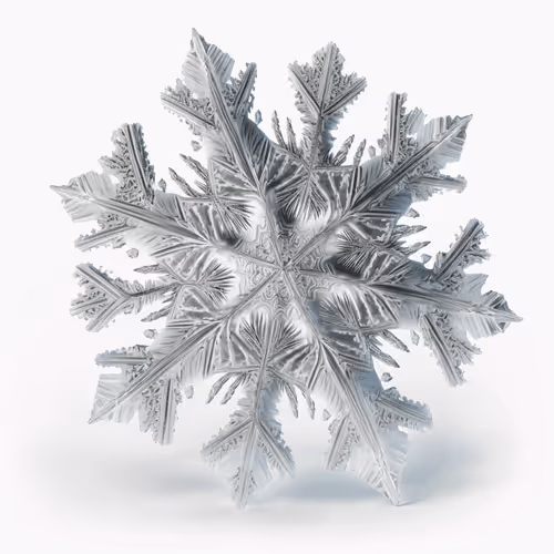 Item #80295868564913723404284844980520130220596009118355329382896586495474404425729 Media