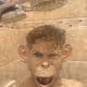 33296739070710136013243765166117054542811736970736272210757136465700293967873