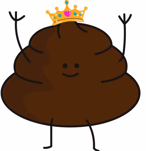 Item #35863194083128256797647772425284652682645032595179500226087347145010153783297 Media