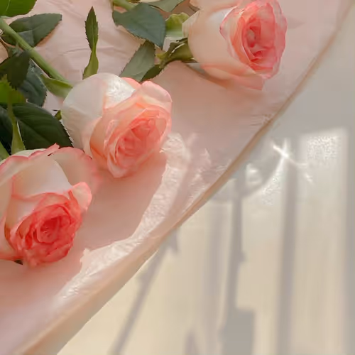 Untitled Collection #147972605