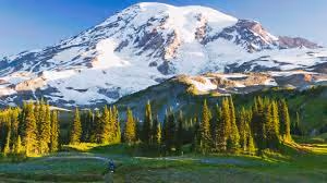 Untitled Collection #239853210