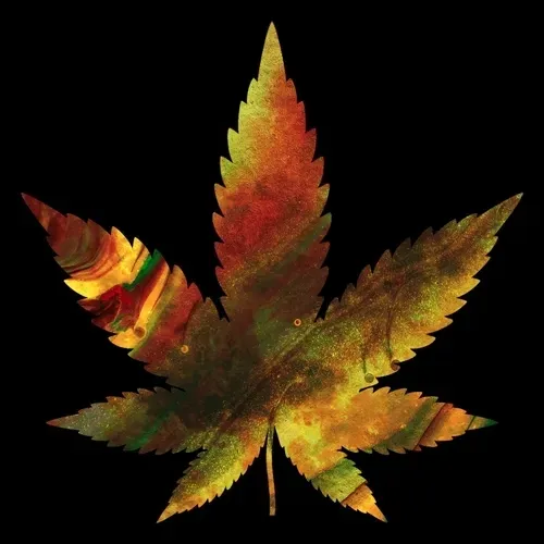 Item #27429404742285856424020713709496491268388893896169540775489702300242629623818 Media