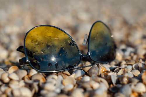 Untitled Collection #242312038