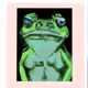 Pepe Collection x Godsourceglobalpublishing