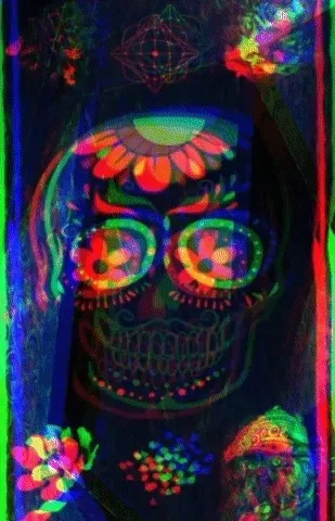 Untitled Collection #487026653