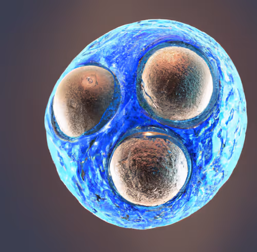 Item #15900858524274065462397165605509062893973264951757804275935713249954799550465 Media