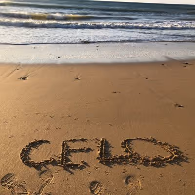 Untitled Collection #2989921728