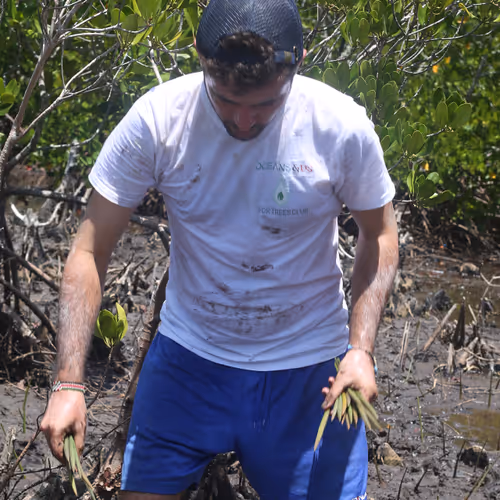 Untitled Collection #94343953