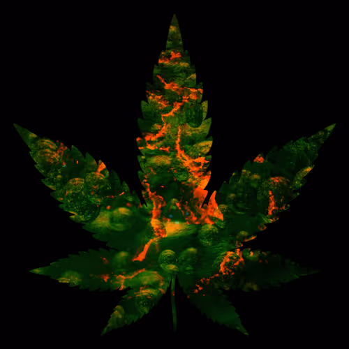 Item #27429404742285856424020713709496491268388893896169540775489702292546048229386 Media