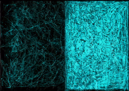 Item #45820244041529252711752291244160334288785551174188432796498039432595476840449 Media