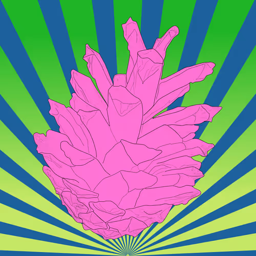 Item #51684206879132971117287575805148041327006568930595361555171380767825055449089 Media