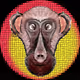 Planet Monkey #70