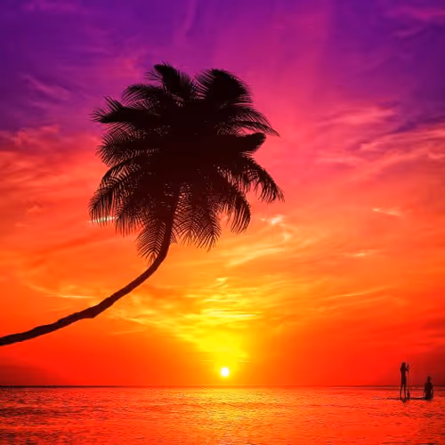 Untitled Collection #147588977