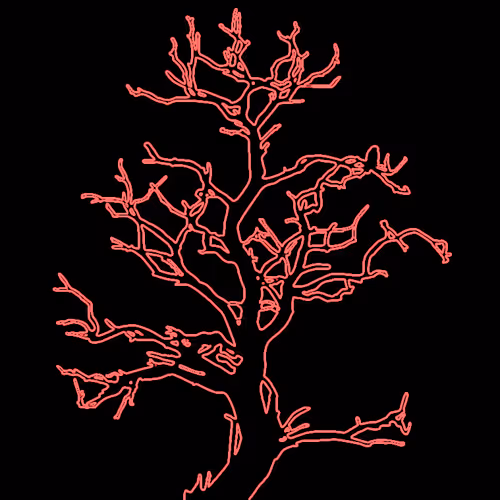 Item #28584310891482146390254294675559111591300807555565075434256981934511082176537 Media