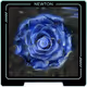 Reza_Ne_Ce Collection