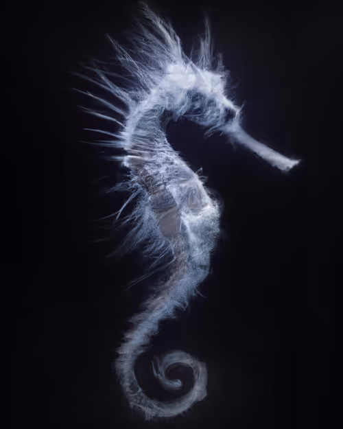 Item #16773130033193857086017439881678967657161459487205602915967704777572615269687 Media